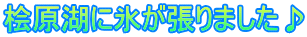 桧原湖に氷が張りました♪
