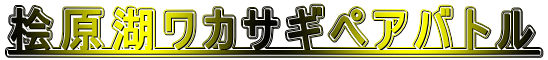 O΃JTMyAog