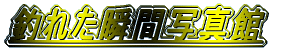 ނꂽuԎʐ^ 