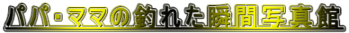 ppE}}̒ނꂽuԎʐ^