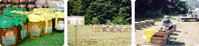 民宿えんどう 養蜂場 純粋ハチミツ